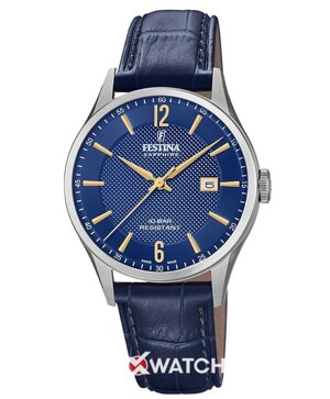 Đồng hồ nam Festina F20007