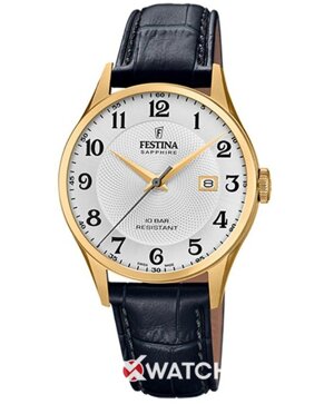 Đồng hồ nam Festina F20010