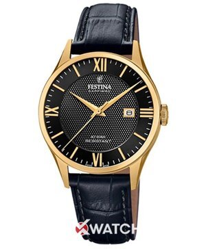 Đồng hồ nam Festina F20010