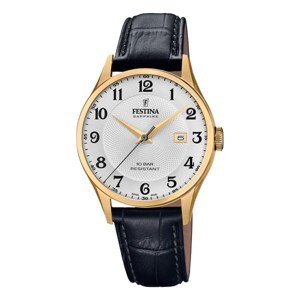 Đồng hồ nam Festina F20010