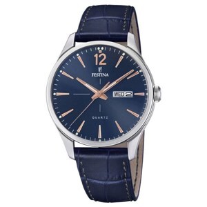 Đồng hồ nam Festina F20205