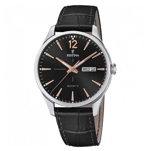 Đồng hồ nam Festina F20205