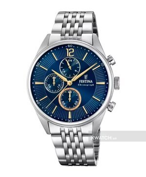 Đồng hồ nam Festina F20285