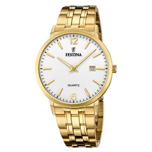 Đồng hồ nam Festina F20513/2