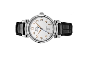 Đồng hồ nam IWC IW356601