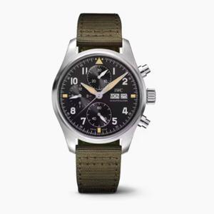Đồng hồ nam IWC IW387901