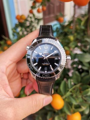 Đồng hồ nam Omega 215.33.44.21.01.001