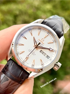 Đồng hồ nam Omega 231.13.39.22.02.001