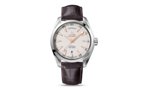 Đồng hồ nam Omega 231.13.42.22.02.001