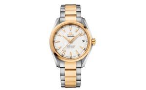 Đồng hồ nam Omega 231.20.39.21.02.002