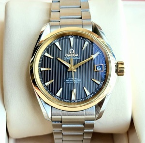 Đồng hồ nam Omega 231.20.39.21.06.004