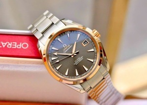 Đồng hồ nam Omega 231.20.42.21.06.002