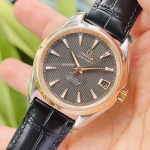 Đồng hồ nam Omega 231.23.39.21.06.002