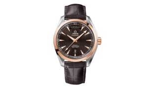 Đồng hồ nam Omega 231.23.42.22.06.001