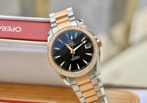 Đồng hồ nam Omega 231.25.39.21.51.001