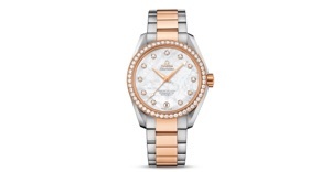 Đồng hồ nam Omega 231.25.39.21.55.001