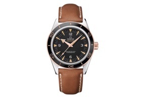 Đồng hồ nam Omega 233.22.41.21.01.002