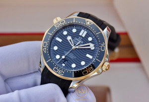 Đồng hồ nam Omega Seamaster 210.22.42.20.01.001