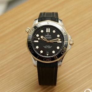 Đồng hồ nam Omega Seamaster 210.22.42.20.01.001