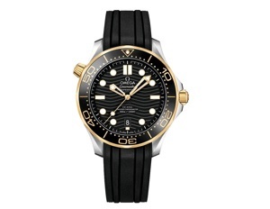 Đồng hồ nam Omega Seamaster 210.22.42.20.01.001