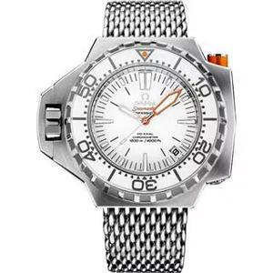 Đồng hồ nam Omega Seamaster 224.30.55.21.04.001