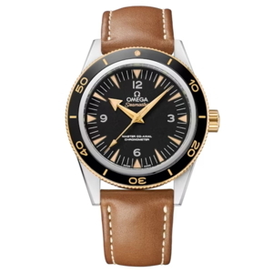 Đồng hồ nam Omega Seamaster 233.22.41.21.01.001