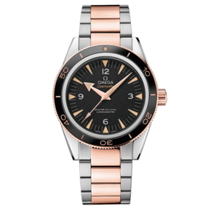 Đồng hồ nam Omega Seamaster 233.20.41.21.01.001