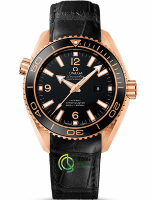 Đồng hồ nam Omega Seamaster 232.63.38.20.01.001