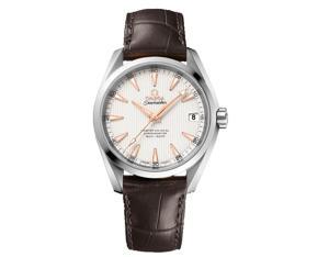 Đồng hồ nam Omega Seamaster 231.13.39.21.02.003 Aqua Terra Watch 38.5mm