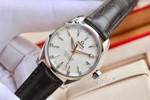 Đồng hồ nam Omega Seamaster 231.13.39.21.02.003 Aqua Terra Watch 38.5mm