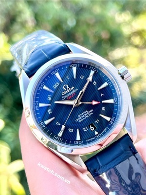 Đồng hồ nam Omega Seamaster 231.13.43.22.03.001