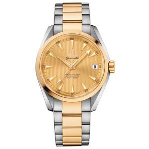 Đồng hồ nam Omega Seamaster Aqua Terra Master Co-Axial 231.20.39.21.08.001