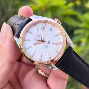 Đồng hồ nam Omega Seamaster Aqua Terra 231.23.39.21.02.001