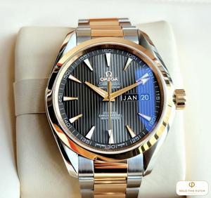 Đồng hồ nam Omega Seamaster Aqua Terra 231.20.43.22.06.002