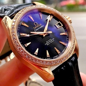 Đồng hồ nam Omega Seamaster Aqua Terra 231.58.39.21.51.001