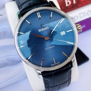 Đồng hồ nam Rado R22860205