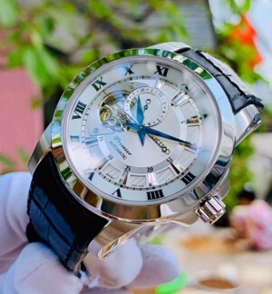 Đồng hồ nam Seiko SSA213J2