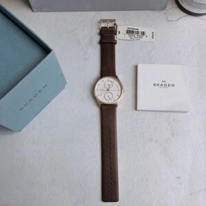 Đồng hồ nam Skagen SKW6066