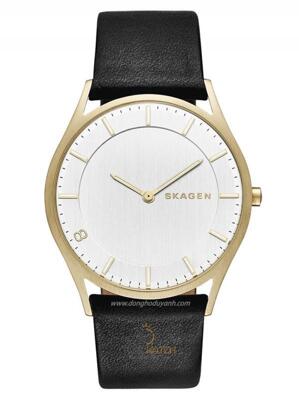 Đồng hồ nam Skagen SKW6246