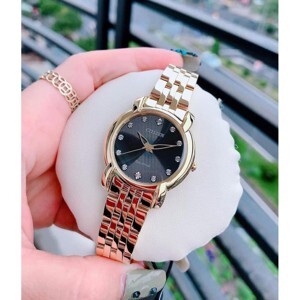 Đồng hồ nữ Citizen EM0712