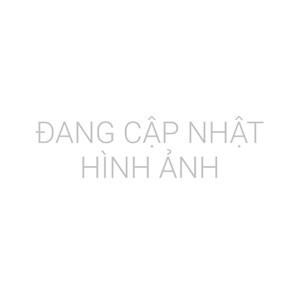 Đồng hồ nữ Daniel Wellington DW00100052