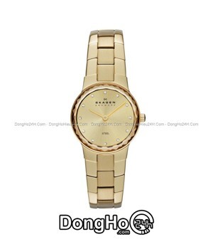 Đồng hồ nữ dây kim loại Skagen SKW2073