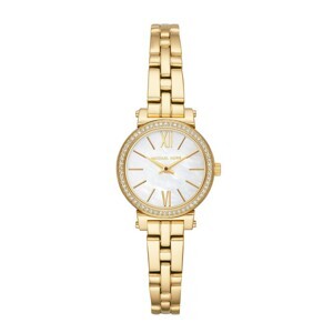 Đồng hồ nữ Michael Kors MK3833