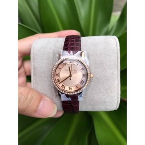 Đồng hồ nữ Michael Kors Petite MK2608