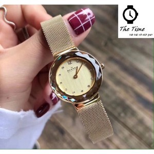 Đồng hồ nữ Skagen 456SRM – Dây Kim Loại