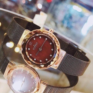 Đồng hồ nữ Skagen 456SRM – Dây Kim Loại