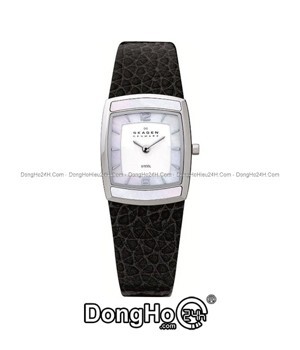 Đồng hồ nữ Skagen 855SSLB