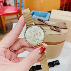Đồng hồ nữ Skagen SKW2313