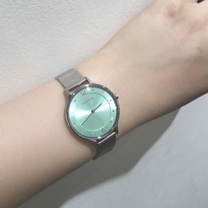 Đồng hồ nữ Skagen SKW2324 - Dây Kim Loại