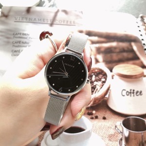 Đồng hồ nữ Skagen SKW2473